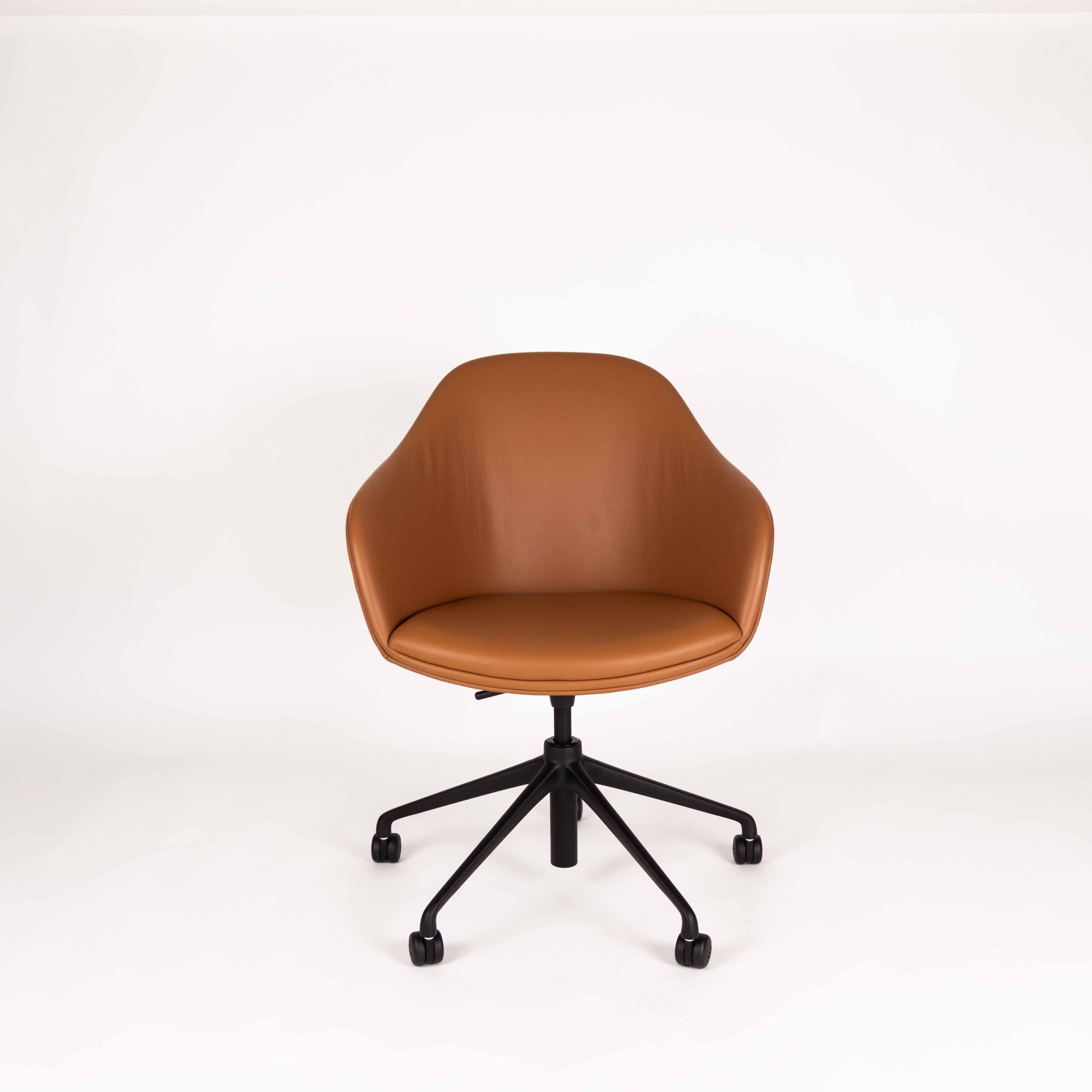 New Victoria, Tannino | Black base