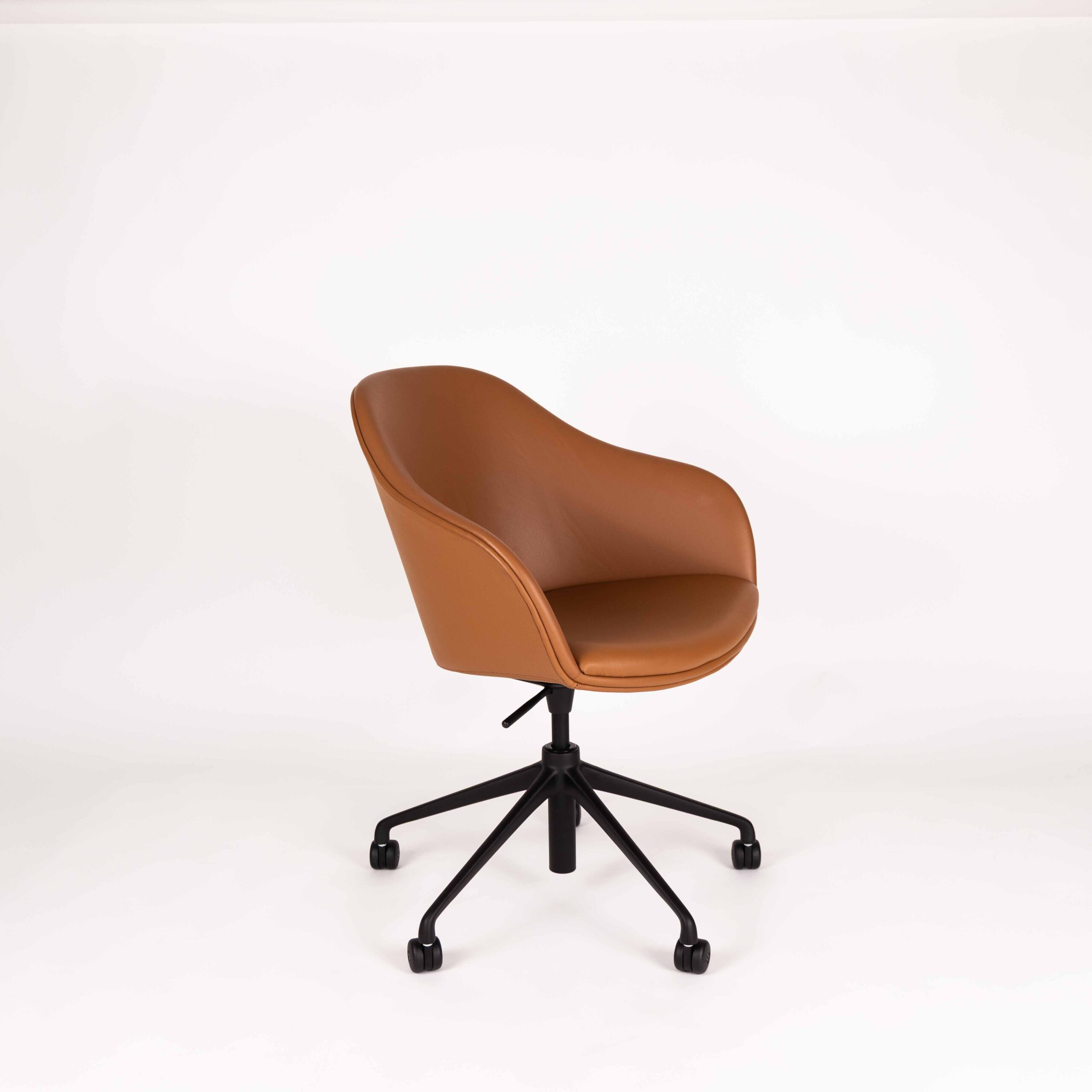 New Victoria, Tannino | Black base